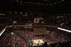 sumo